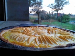 tarte aux pommes et aux caramels sylvie facebook